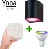 Ynoa smart home - Slimme buitenverlichting Valence - Zwart - Inclusief afstandsbediening - Zigbee 3.0 - RGB diverse kleuren en wittinten instelbaar - IP54 - Smart wandlamp voor bin