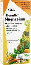 Salus Floradix Magnesium – Voor energie en spieren – Vloeibare magnesiummix van planten- en vruchtensappen – 250 ml