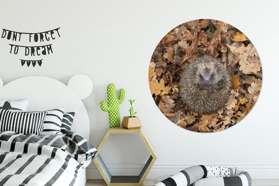 Cercle de papier peint - Hérisson - Automne - Feuilles - ⌀ 120 cm - Cercle mural - Autocollant - Sticker papier peint XXL