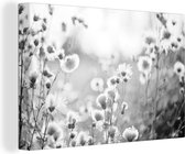 Canvas Schilderij Bloemen - Wild- Zwart - Wit - 90x60 cm - Wanddecoratie