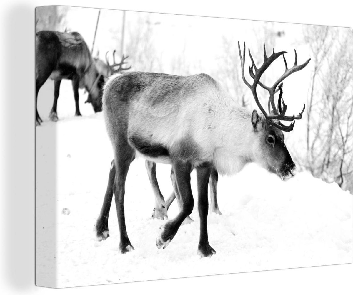 Canvas Schilderij Een kerstfoto van rendieren langs de wegen van het Finse Kilpisjarvi - zwart wit - 90x60 cm - Wanddecoratie
