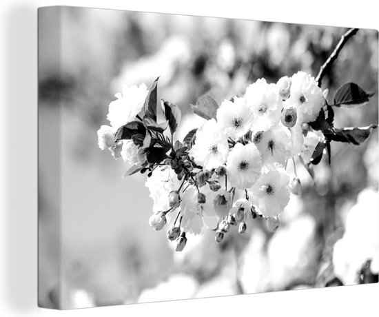 Canvas Schilderij Sakura - Lente - Zwart - Wit - Wanddecoratie