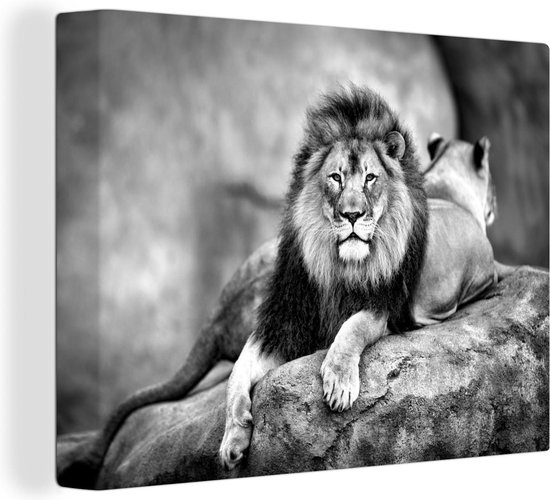 Tableau sur toile Lion et lionne allongés sur un rocher - noir et blanc - 40x30 cm - Décoration murale