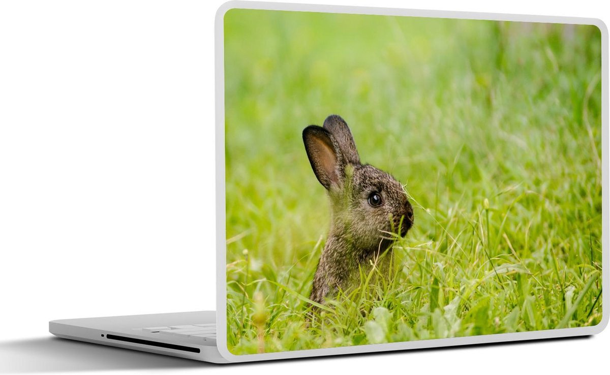 Laptop sticker - 14 inch - Konijn - Baby - Gras - 32x5x23x5cm - Laptopstickers - Laptop skin - Cover