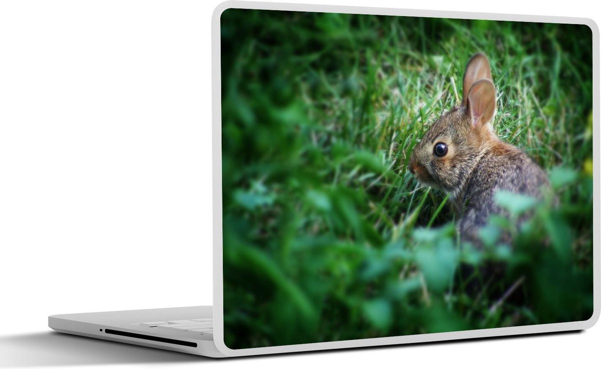 Laptop sticker - 11.6 inch - Konijn - Baby - Gras - 30x21cm - Laptopstickers - Laptop skin - Cover