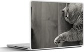 Laptop sticker - 14 inch - Kat die op de bank ligt - 32x5x23x5cm - Laptopstickers - Laptop skin - Cover