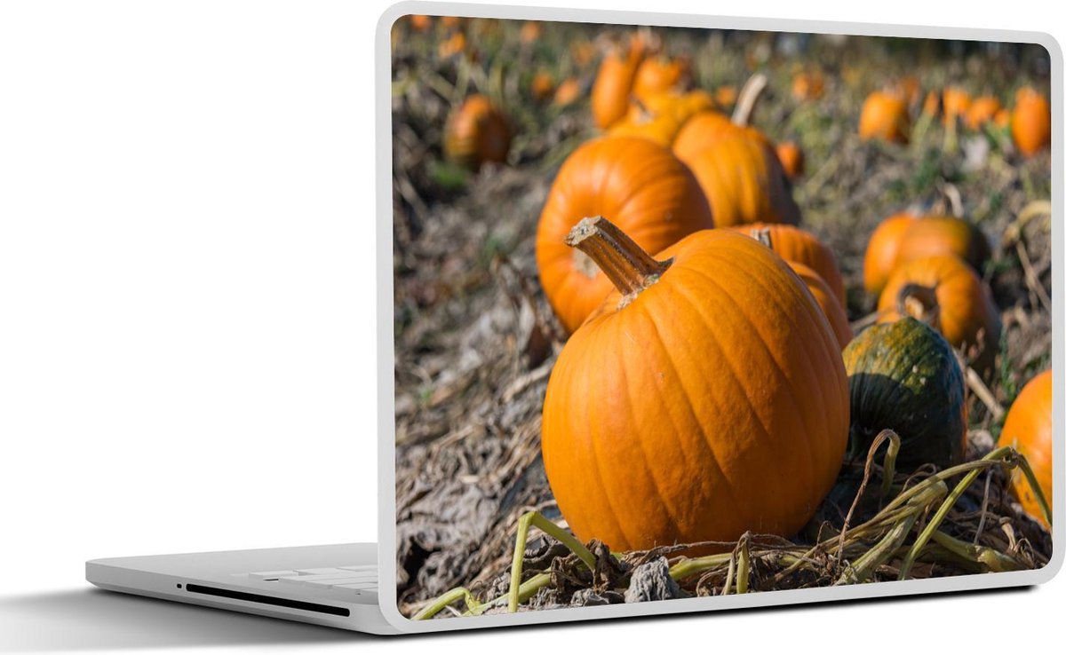 Afbeelding van product SleevesAndCases  Laptop sticker - 11.6 inch - Pompoen - Herfst - Gras