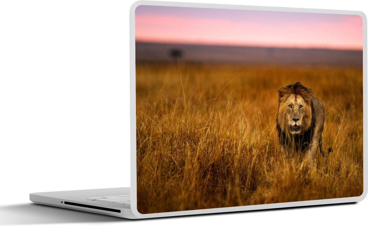 Afbeelding van product SleevesAndCases  Laptop sticker - 13.3 inch - Leeuw - Savanne - Gras