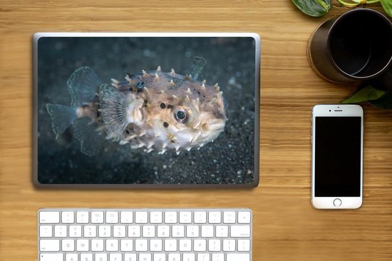 Sticker ordinateur portable - 14 pouces - Petit poisson globe