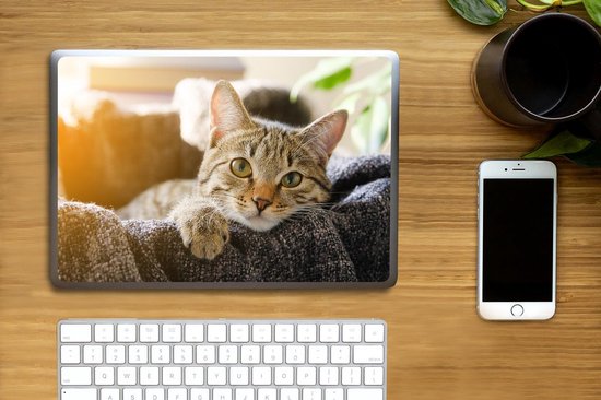 Laptop sticker - 14 inch - Kat - Mand - Kleed - 32x5x23x5cm - Laptopstickers - Laptop skin - Cover
