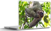 Laptop sticker - 15.6 inch - Een lachende luiaard hangend in de groene bomen - 36x27,5cm - Laptopstickers - Laptop skin - Cover