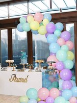 102-delige luxe ballonnenboog - ballonnen feest decoratie