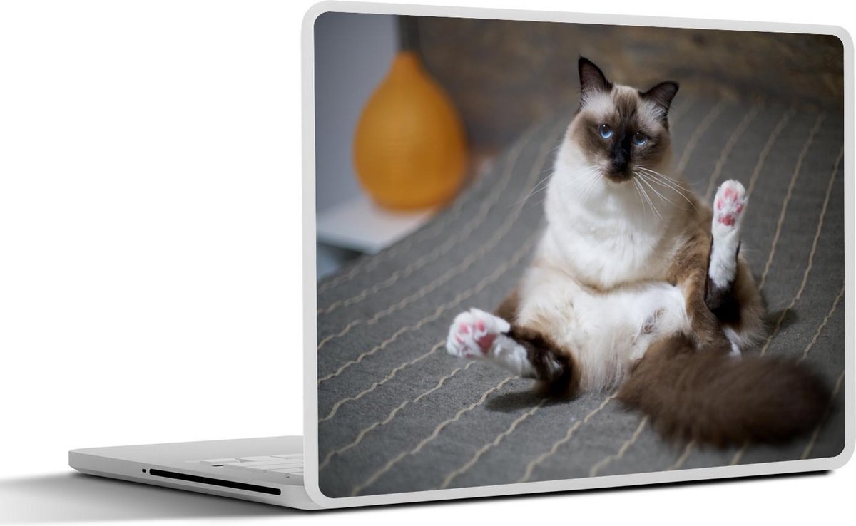 Laptop sticker - 17.3 inch - Poes - Vacht - Bruin - 40x30cm - Laptopstickers - Laptop skin - Cover