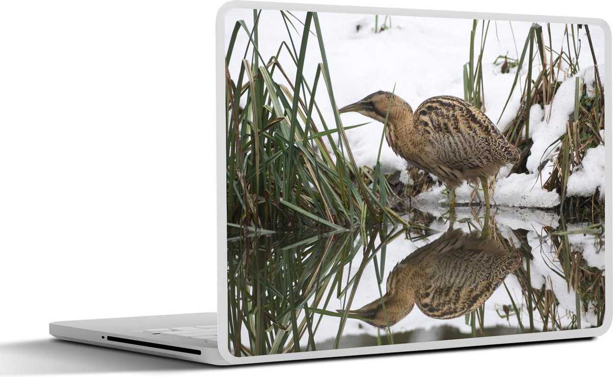 Afbeelding van product SleevesAndCases  Laptop sticker - 15.6 inch - Een roerdomp op jacht in het water