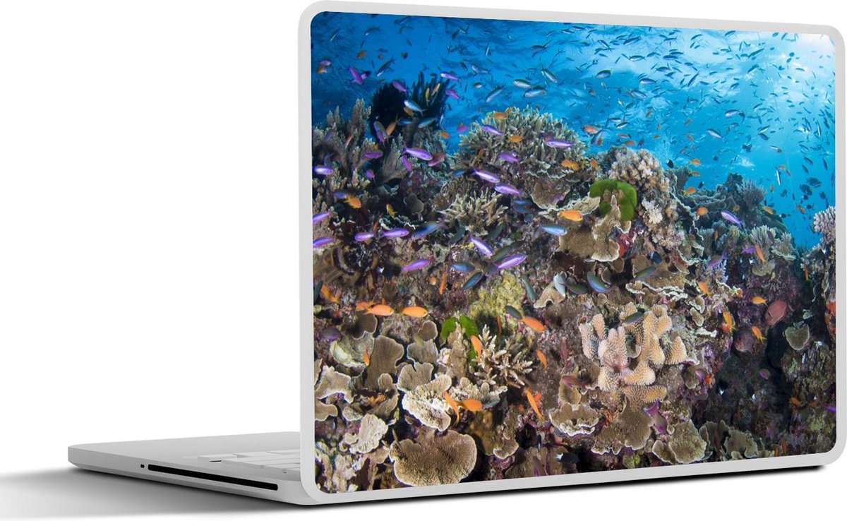 Afbeelding van product SleevesAndCases  Laptop sticker - 10.1 inch - Het maritieme leven op het Groot Barrièrerif