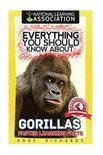 Everything You Should Know About