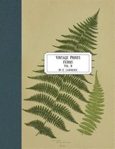 Vintage Prints: Ferns
