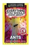 Everything You Should Know About