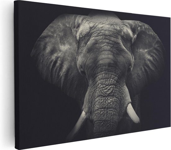 Artaza - Peinture sur toile - Tête d'éléphant - Éléphant - Zwart Wit - 120 x 80 - Groot - Photo sur toile - Impression sur toile