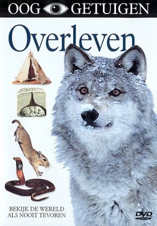 Cover van de film 'Ooggetuigen - Overleven'