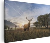 Artaza Canvas Schilderij Hert In Het Landschap - 90x60 - Foto Op Canvas - Canvas Print - Muurdecoratie