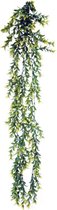 Ferplast Croton Plant met zuignappen - 80cm