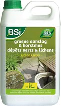 BSI - GreenClean Gebruiksklare vloeistof - Tegen groene aanslag - Groene aanslag bestrijden - 3 l voor 60 m²