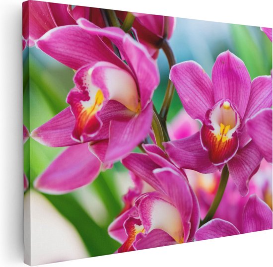 Artaza Canvas Schilderij Licht Paarse Orchidee Bloemen  - 80x60 - Foto Op Canvas - Canvas Print