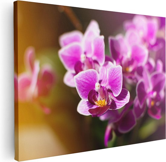 Artaza Canvas Schilderij Paarse Orchidee Bloemen - 80x60 - Foto Op Canvas - Canvas Print