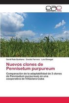 Nuevos clones de Pennisetum purpureum