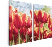 Artaza Canvas Schilderij Tweeluik Oranje Rode Tulpen  - 80x60 - Foto Op Canvas - Canvas Print