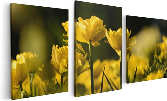 Artaza - Triptyque de peinture sur toile - Tulipes jaunes - Fleurs - 120x60 - Photo sur toile - Impression sur toile