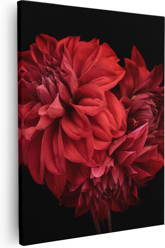 Artaza Canvas Schilderij Rode Dahlia Bloemen - 80x100 - Groot - Foto Op Canvas - Canvas Print
