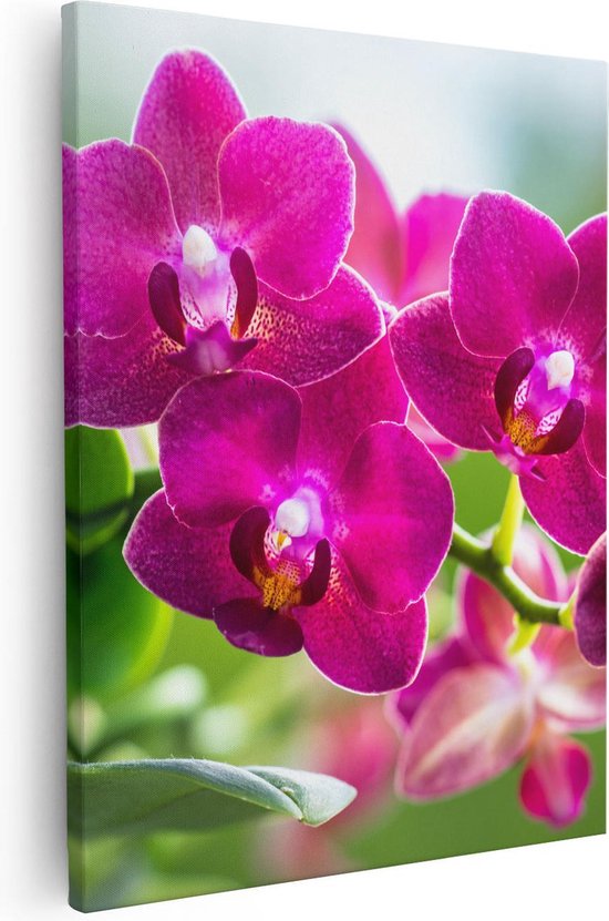 Artaza Canvas Schilderij Roze Orchidee Bloemen - 80x100 - Groot - Foto Op Canvas - Canvas Print