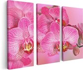 Artaza Canvas Schilderij Drieluik Roze Orchidee Bloemen - 120x80 - Foto Op Canvas - Canvas Print