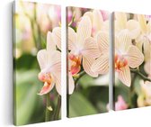 Artaza Canvas Schilderij Drieluik Gestreepte Witte Orchidee Bloemen - 120x80 - Foto Op Canvas - Canvas Print