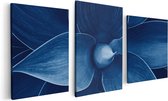 Artaza Canvas Schilderij Drieluik Blauwe Agave Plant - Bloem - 120x60 - Foto Op Canvas - Canvas Print