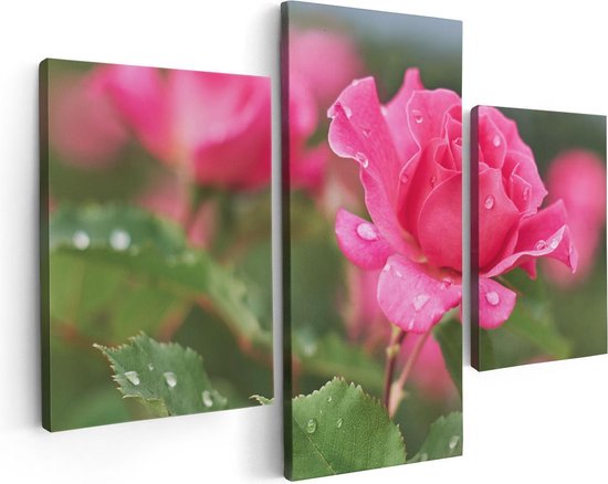 Artaza Canvas Schilderij Drieluik Roze Roos Met Waterdruppels - 90x60 - Foto Op Canvas - Canvas Print