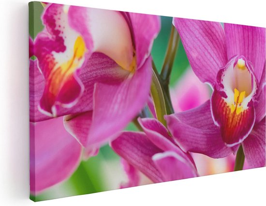 Artaza Canvas Schilderij Licht Paarse Orchidee Bloemen  - 40x20 - Klein - Foto Op Canvas - Canvas Print