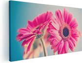 Artaza Canvas Schilderij Twee Roze Anjers - Bloemen - 120x60 - Groot - Foto Op Canvas - Canvas Print