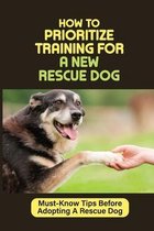 How To Prioritize Training For A New Rescue Dog: Must-Know Tips Before Adopting A Rescue Dog