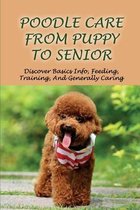 Poodle Care From Puppy To Senior: Discover Basics Info, Feeding, Training, And Generally Caring