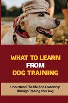 What To Learn From Dog Training: Understand The Life And Leadership Through Training Your Dog