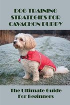 Dog Training Strategies For Cavachon Puppy: The Ultimate Guide For Beginners