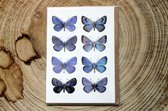 Liljebergs - Dubbele Kaart - Blauwe Vlinders met enveloppe