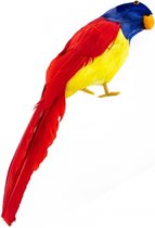 Papegaai - Veren - Rood, geel, blauw - 30cm