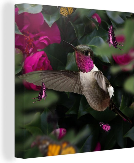Canvas Schilderij Kolibrie - Roze - Vlinders - 20x20 cm - Wanddecoratie