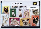 Siamenzen – Luxe postzegel pakket (A6 formaat) : collectie van verschillende postzegels van Siamezen – kan als ansichtkaart in een A6 envelop - authentiek cadeau - kado - geschenk - kaart - s