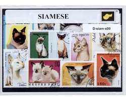 Siamenzen – Luxe postzegel pakket (A6 formaat) : collectie van verschillende postzegels van Siamezen – kan als ansichtkaart in een A6 envelop - authentiek cadeau - kado - geschenk - kaart - siamees - kat - poes - kattenras - thailand - siam Image