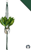 Plantenhanger Macramé | Donkergroen | 100% Katoen | Diverse Kleuren | Plantenpot Ophangen | 100 cm | Macramé Koord | Binnen & Buiten | Plantenhanger | Macramé | Planten |Bloempot Ophangen | TheOldOmen |